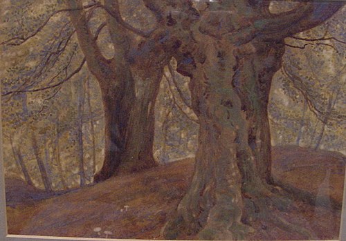 Burnham Beeches, 1874, Thomas Charles Farrer
