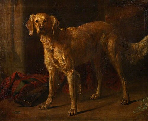 Dog 'Braan', , Thomas Duncan