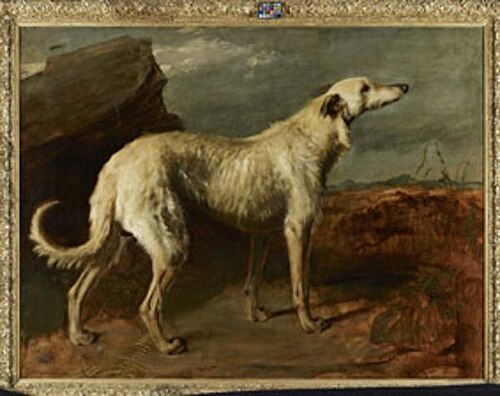 Braan, a Celebrated Scottish Deerhound, , Thomas Duncan
