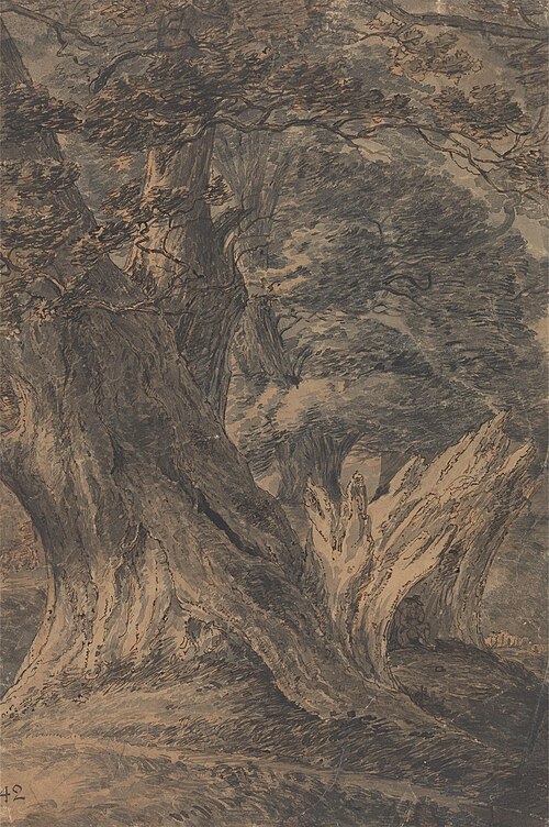 Giant Oaks, , Thomas Hearne