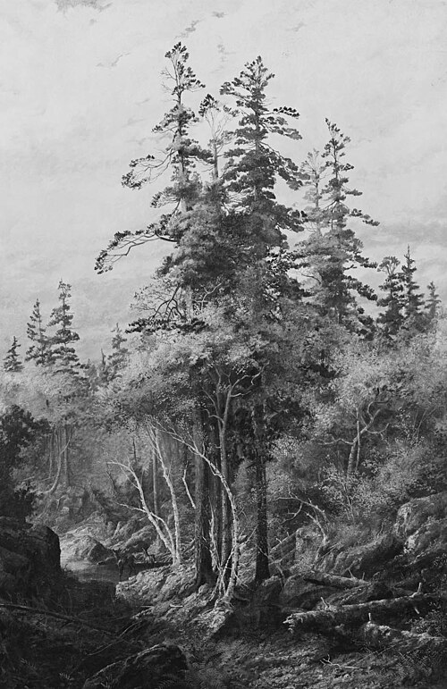 "The Untouched Wilderness": the Untrodden Wilds of Canada, 1881, Thomas Mower Martin