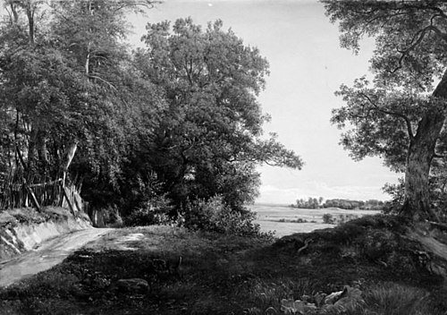 A Summer Morning beside the Deer Park Fence in Ordrup Spinney, North of Copenhagen, 1855, Thorald Brendstrup