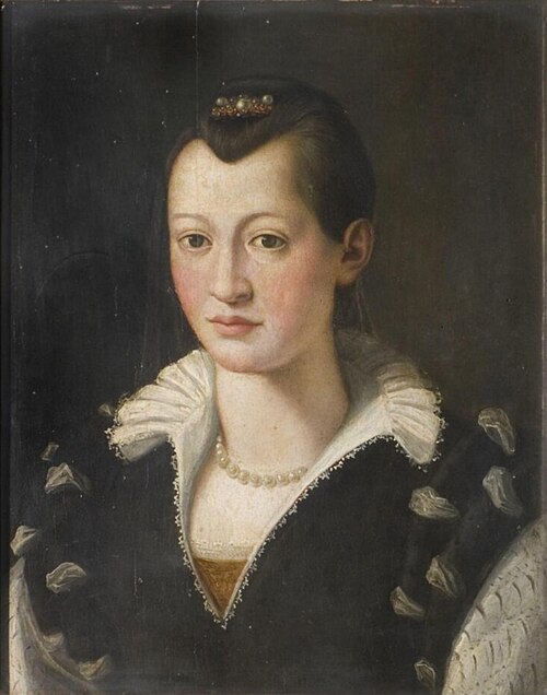 Portrait of a Lady in a Black Dress, , Bronzino