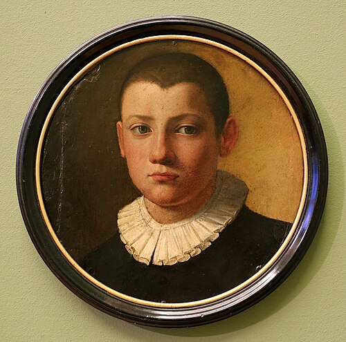 Portrait d'un garçon, 1540, Bronzino