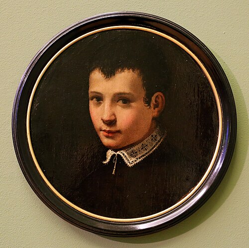 Portrait d'un garçon, 1540, Bronzino
