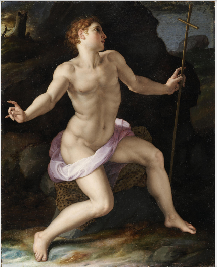 Saint John the Baptist in the Wilderness, , Bronzino