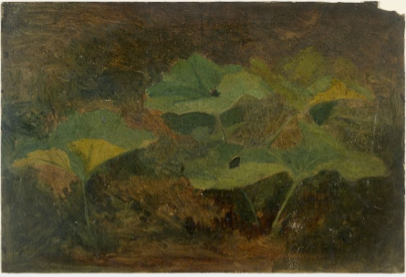 Plants, 1842, William Howis junior