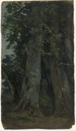 Trees, , William Howis junior