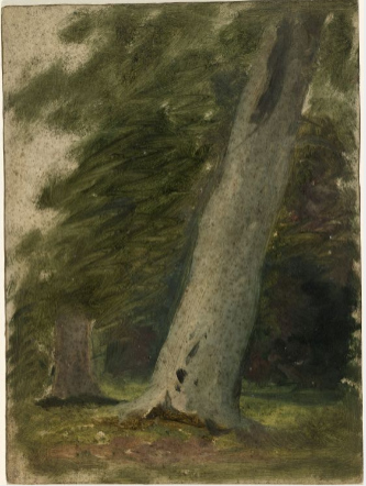 Leaning Tree, , William Howis junior