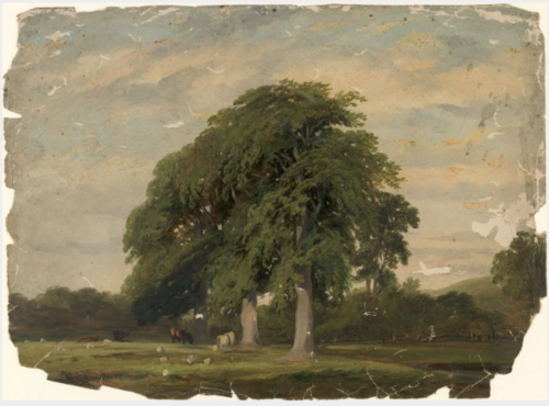 Cattle Grazing by Trees, , William Howis junior