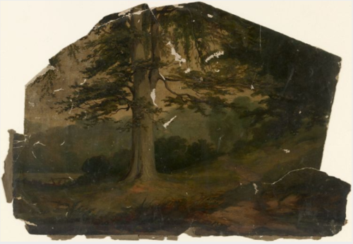 A Cedar of Lebanon, , William Howis junior
