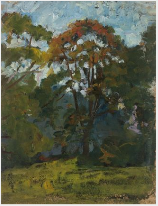 Sketch of Trees, , Clare Marsh