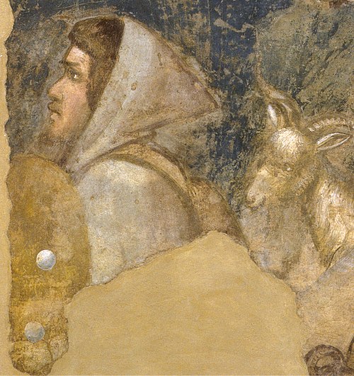 Shepherd Head, 1315, Giotto