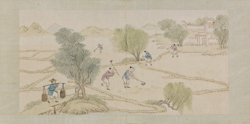 绵亿棉花图册, , Mianyi