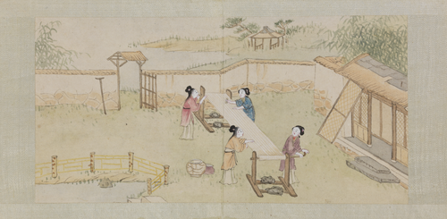 绵亿棉花图册, , Mianyi