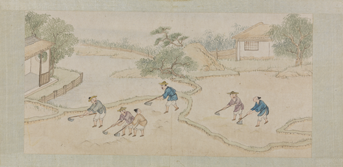 绵亿棉花图册, , Mianyi