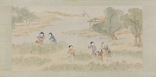 绵亿棉花图册, , Mianyi