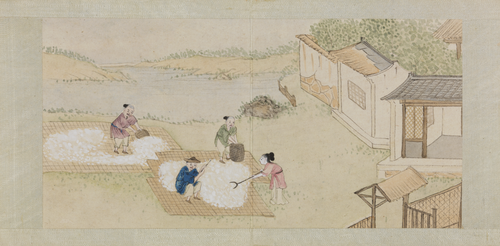 绵亿棉花图册, , Mianyi