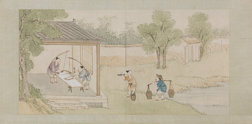 绵亿棉花图册, , Mianyi