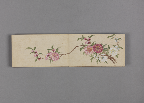绵亿花卉小册, , Mianyi