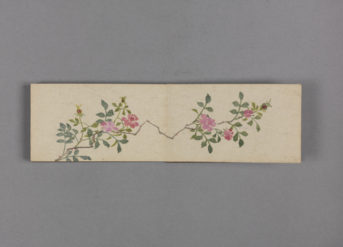 绵亿花卉小册, , Mianyi