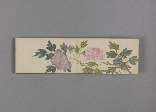 绵亿花卉小册, , Mianyi