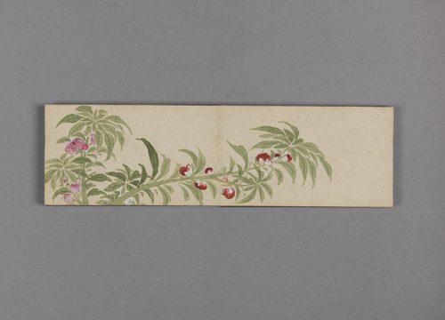 绵亿花卉小册, , Mianyi