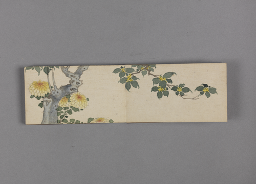 绵亿花卉小册, , Mianyi