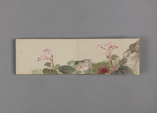 绵亿花卉小册, , Mianyi