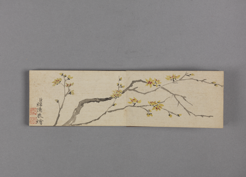 绵亿花卉小册, , Mianyi