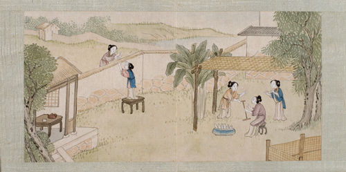绵亿棉花图册, , Mianyi