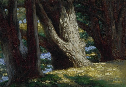 By the Stream, Otaki, , Vivian Smith