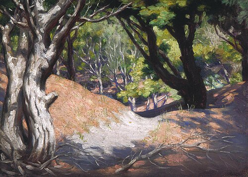 Pine Glade on Sand Dune at Otaki, , Vivian Smith