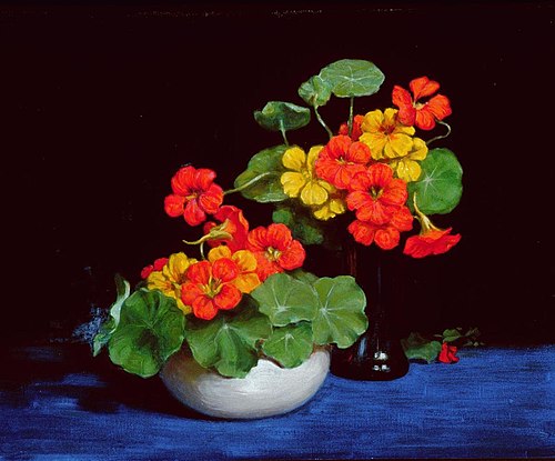 Nasturtiums, , Vivian Smith