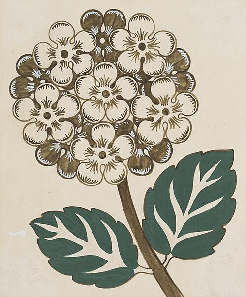 Untitled (Hydrangea), , Vivian Smith