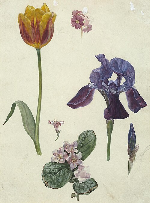 Untitled (Plant cuttings), , Vivian Smith