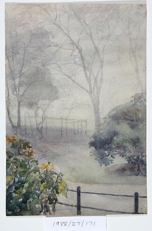 Untitled (Garden in fog), , Vivian Smith