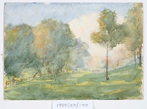 Untitled (Sunlit landscape), , Vivian Smith