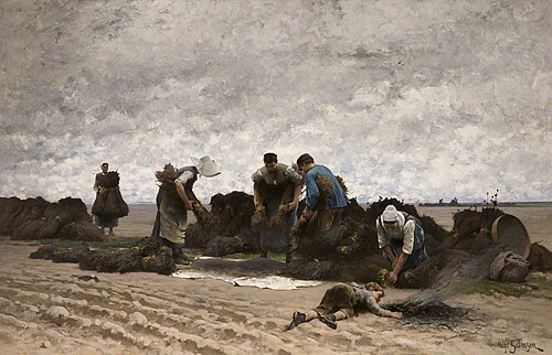 Poppy Seed Gatherers of Northern France, , Hugo Salmson