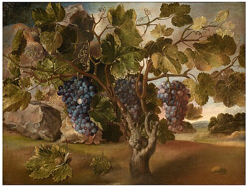 Paysage avec une vigne, 1645, Tomás Yepes