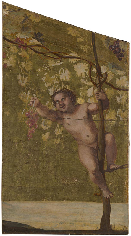Putto gathering Grapes, 1598, Annibale Carracci