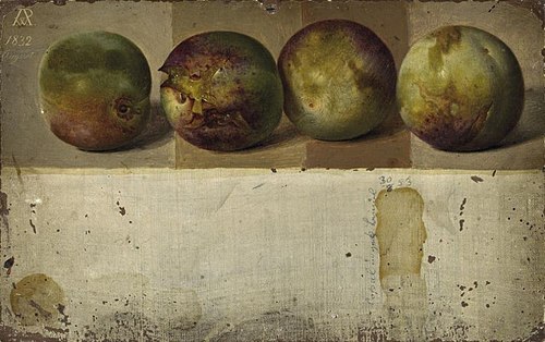 Four Greengages, 1832, Johann Wilhelm Preyer
