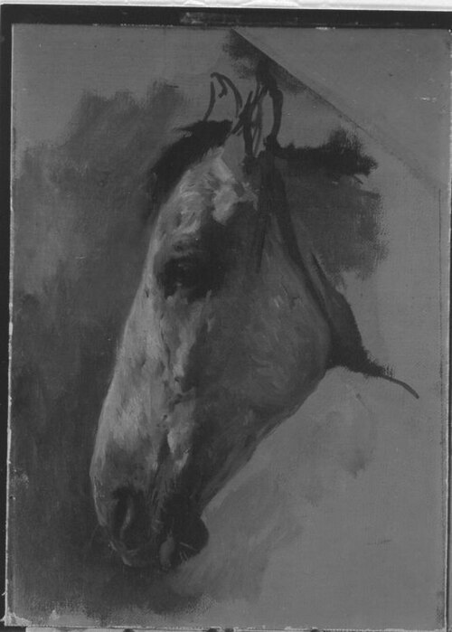 Pferdekopf nach links, 1875, Wilhelm von Diez