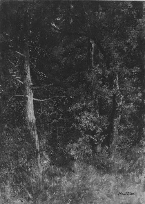 Waldinneres, , Wilhelm von Diez