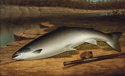 The Big Catch, A Salmon on a River Bank, 1878, Walter M. Brackett