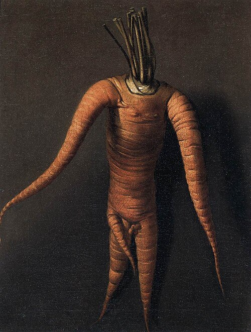 A carrot, 1699, Willem Frederiksz van Royen