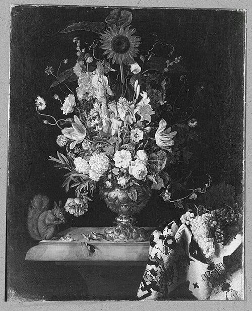 Still life with flowers in a vase, oriental carpet and a squirrel, 1686, Willem Frederiksz van Royen