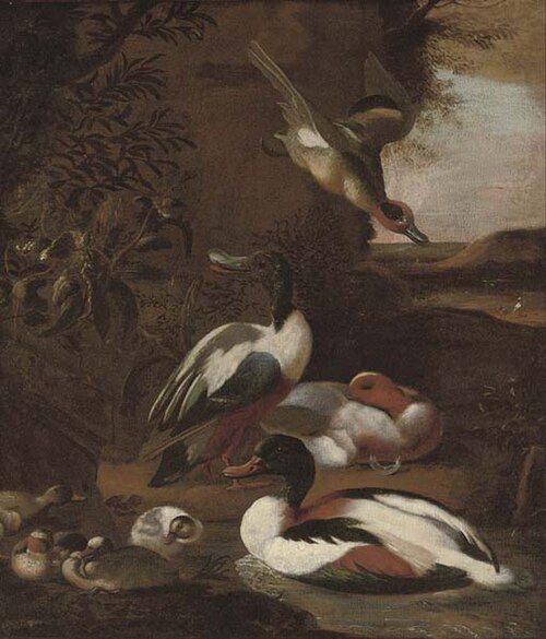 Ducks in a landscape, , Willem Frederiksz van Royen