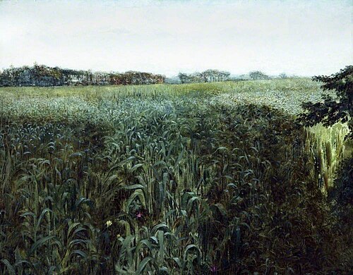 Corner of a Cornfield, 1870, William Davis