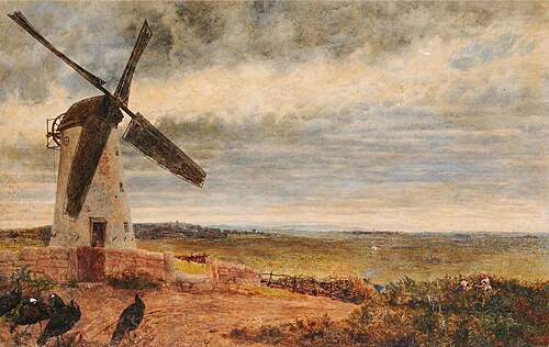 Wallasey Mill, , William Davis